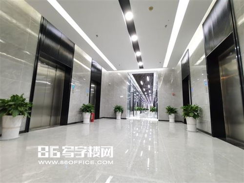 上海交能國際大廈 地鐵2號口黃金區(qū)位，精裝全配，助力國際貿(mào)易與物流企業(yè)騰飛