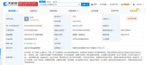 四川路橋比亞迪合資礦業(yè)公司注銷 跨界合作落幕，互聯(lián)網(wǎng)銷售模式下的礦業(yè)轉(zhuǎn)型反思
